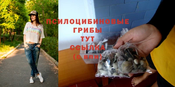 Альфа ПВП Костерёво