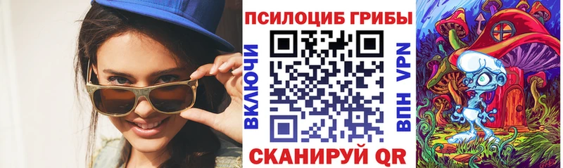Купить где  Гороховец  Галлюциногенные грибы Magic Shrooms 
